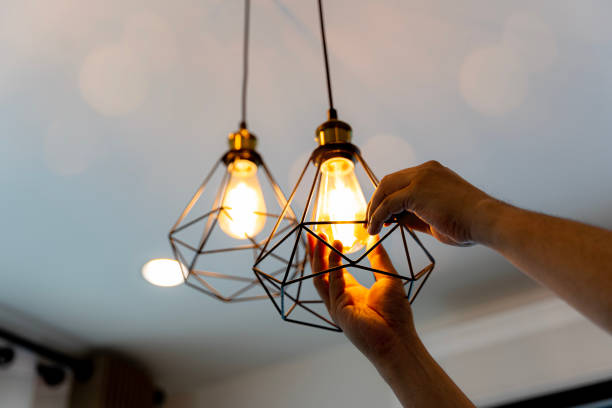 Best Electrician for Home Renovation  in Burnt Mills, MD